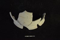 陶罐藏品圖，第2張